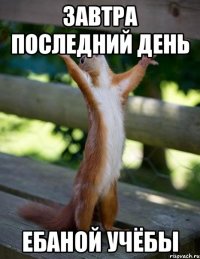 Завтра последний день ебаной учёбы
