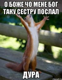 о боже чо мене бог таку сестру послал дура