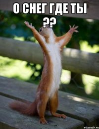 о снег где ты ?? 