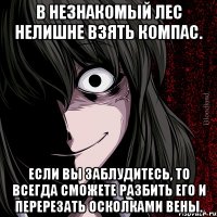 В незнакомый лес нелишне взять компас. Если вы заблудитесь, то всегда сможете разбить его и перерезать осколками вены.