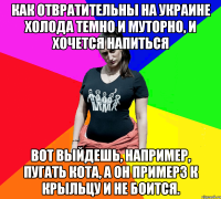 Как отвратительны на Украине холода Темно и муторно, и хочется напиться Вот выйдешь, например, пугать кота, А он примерз к крыльцу и не боится.