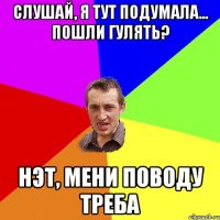 Слушай, я тут подумала... пошли гулять? Нэт, мени поводу треба