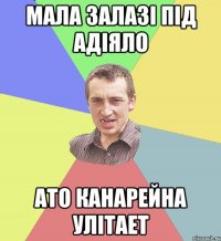 Мала залазі під адіяло ато канарейна улітает