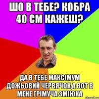 Шо в тебе? кобра 40 см кажеш? Да в тебе максімум дожьовий червячок,а вот в мене Грімуча зміюка