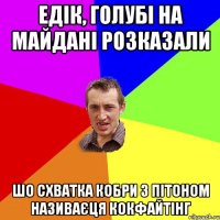 ЕДІК, ГОЛУБІ НА МАЙДАНІ РОЗКАЗАЛИ ШО СХВАТКА КОБРИ З ПІТОНОМ НАЗИВАЄЦЯ КОКФАЙТІНГ