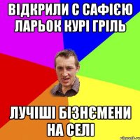 Відкрили с сафією ларьок курі гріль Лучіші бізнємени на селі