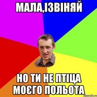 МАЛА,ІЗВІНЯЙ НО ТИ НЕ ПТІЦА МОЄГО ПОЛЬОТА