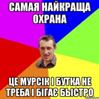 самая найкраща охрана це мурсік і бутка не треба і бігає быстро