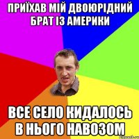 приїхав мій двоюрідний брат із Америки все село кидалось в нього навозом