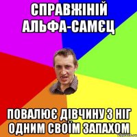 справжіній альфа-самєц повалює дівчину з ніг одним своїм запахом