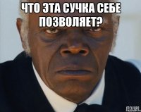 Что эта сучка себе позволяет? 