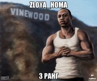 Zloya_Homa 3 ранг