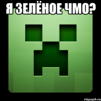 Я зелёное чмо? 