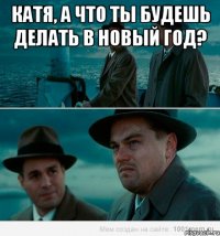 Катя, а что ты будешь делать в новый год? 