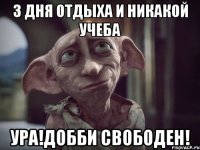 3 дня отдыха и никакой учеба Ура!Добби свободен!