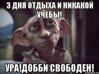 3 дня отдыха и никакой учебы! Ура!Добби свободен!