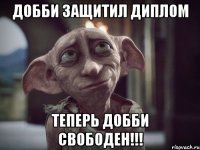 Добби защитил диплом теперь добби свободен!!!