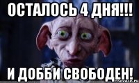 Осталось 4 дня!!! И Добби свободен!