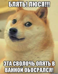 БЛЯТЬ! Люся!!! Эта сволочь опять в ванной обосрался!