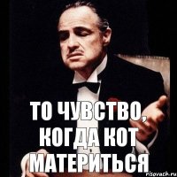 то чувство, когда кот материться