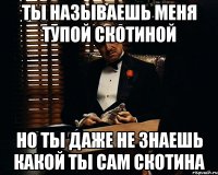 ты называешь меня тупой скотиной но ты даже не знаешь какой ты сам скотина