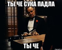 ТЫ ЧЕ СУКА ПАДЛА ТЫ ЧЕ