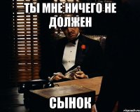 ты мне ничего не должен сынок