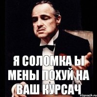 Я Соломка ы мены похуй на ваш курсач