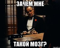 зачем мне такой мозг?