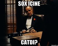 SOX ICINE CATDI?