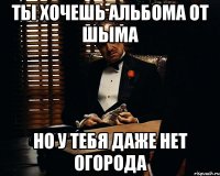 ты хочешь альбома от шыма но у тебя даже нет огорода