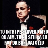 TU INTRI PE SERVERU MEU CU AIM, TU NU STII CA EU POT DA BAN, UAI GELU