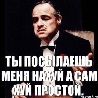 Ты посылаешь меня нахуй а сам хуй простой.