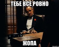 тебе все ровно жопа