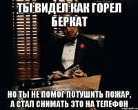 ты видел как горел Беркат но ты не помог потушить пожар, а стал снимать это на телефон