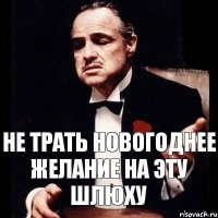 НЕ ТРАТЬ НОВОГОДНЕЕ ЖЕЛАНИЕ НА ЭТУ ШЛЮХУ