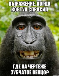 Выражение, когда Ковтун спросил Где на чертеже зубчатое венцо?