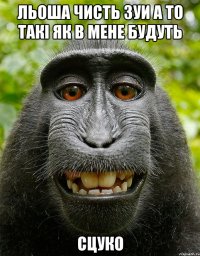 льоша чисть зуи а то такі як в мене будуть сцуко