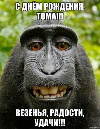 С Днём рождения, Тома!!! Везенья, радости, удачи!!!