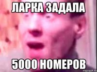 ларка задала 5000 номеров