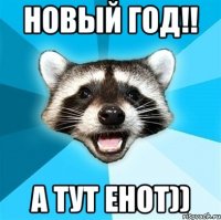 новый год!! а тут енот))