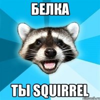 Белка ты squirrel