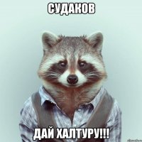 судаков дай халтуру!!!