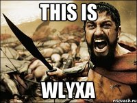 This is Wlyxa