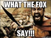 What the Fox SAY!!!