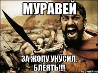 МУРАВЕЙ ЗА ЖОПУ УКУСИЛ, БЛЕЯТЬ!!!