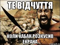 Те відчуття Коли кабан розкусив екрана