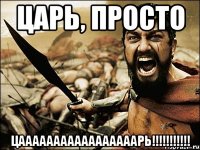 ЦАРЬ, ПРОСТО ЦАААААААААААААААААРЬ!!!!!!!!!!!