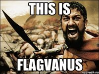 This is FLAGVANUS