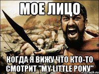 Мое лицо Когда я вижу что кто-то смотрит "My little ponу"